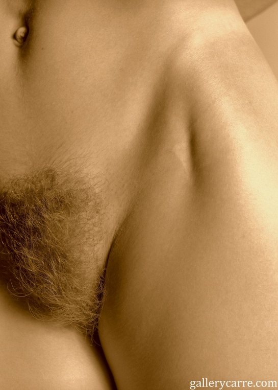 This is a close-up photo of Anita's pubic hair.